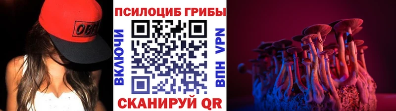 Псилоцибиновые грибы мицелий Мамоново